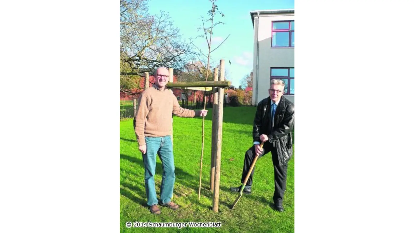 Seltener Baum für die Schule (Foto: al)