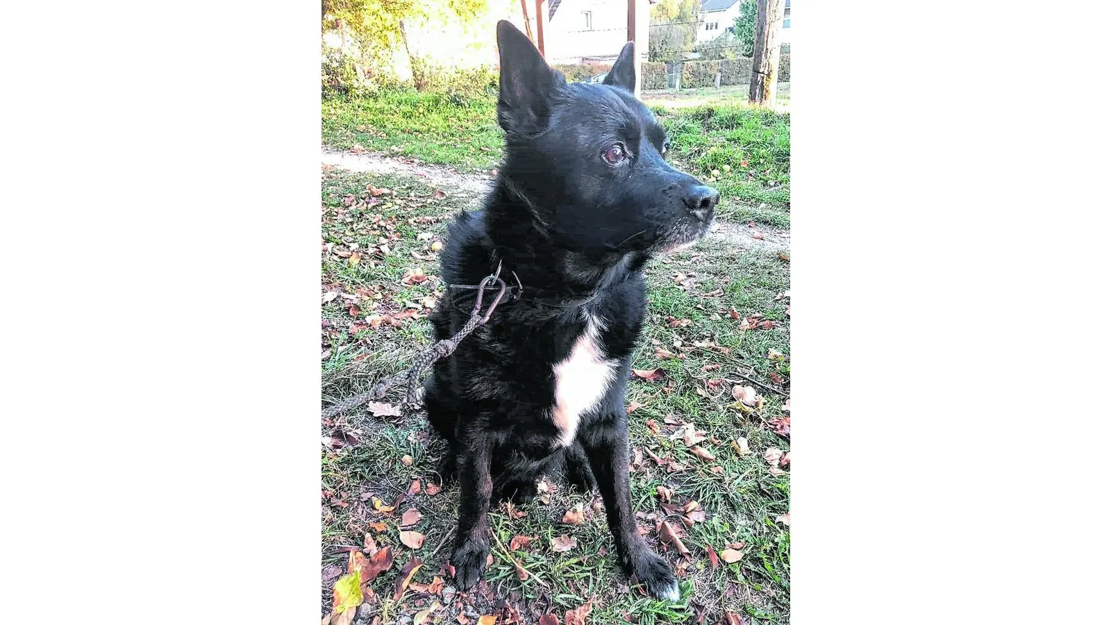 Zeit für ein echt tierisches Fotoshooting (Foto: tr)