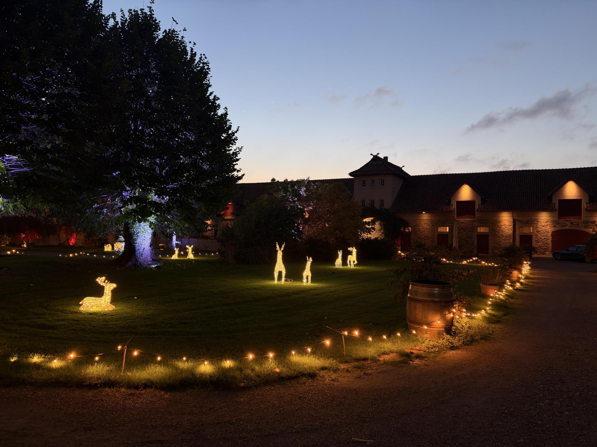 MärchenLichter (Foto: nd)