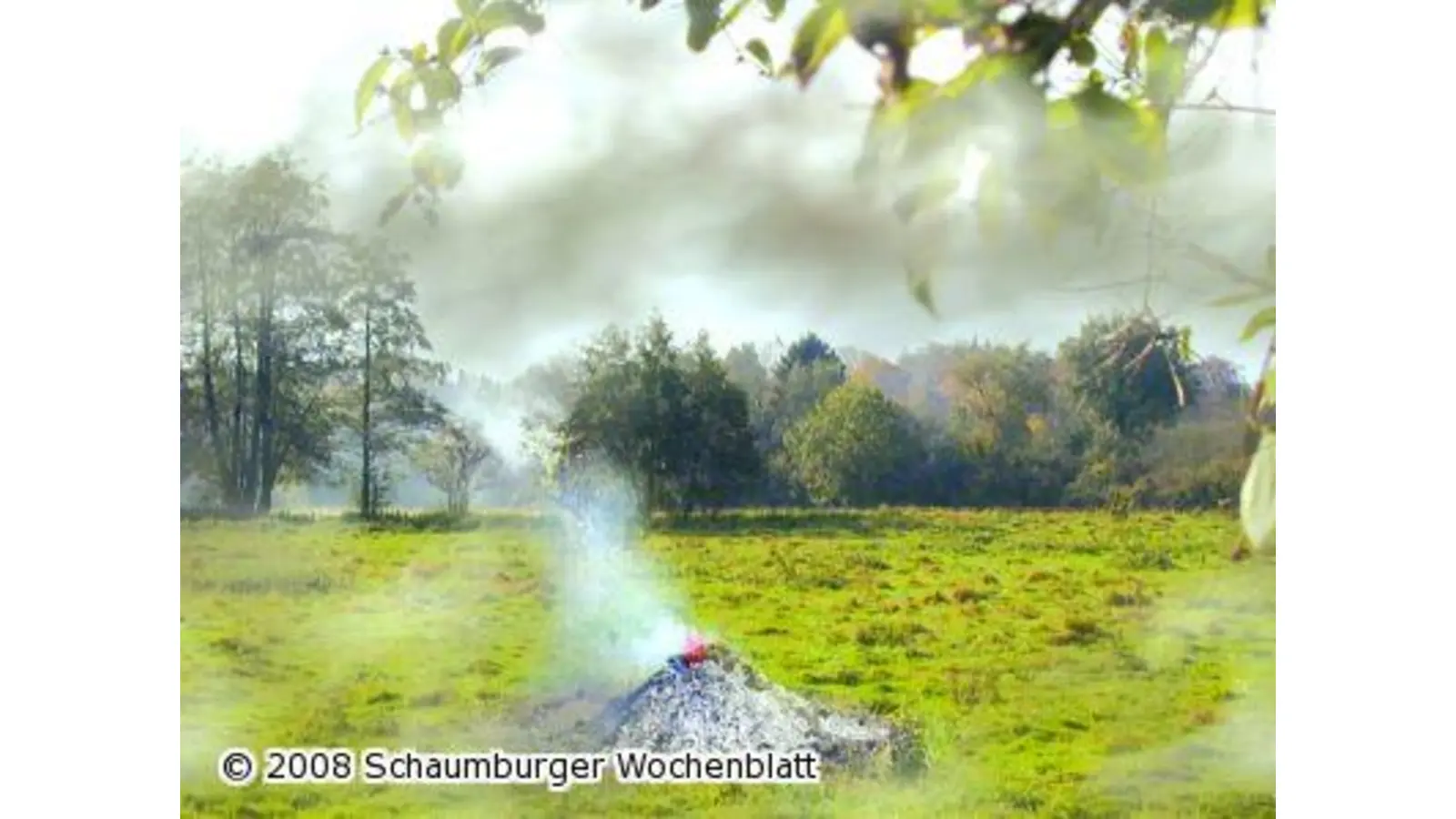 Osterfeuer als Todesfalle für viele Kleintiere (Foto: km)