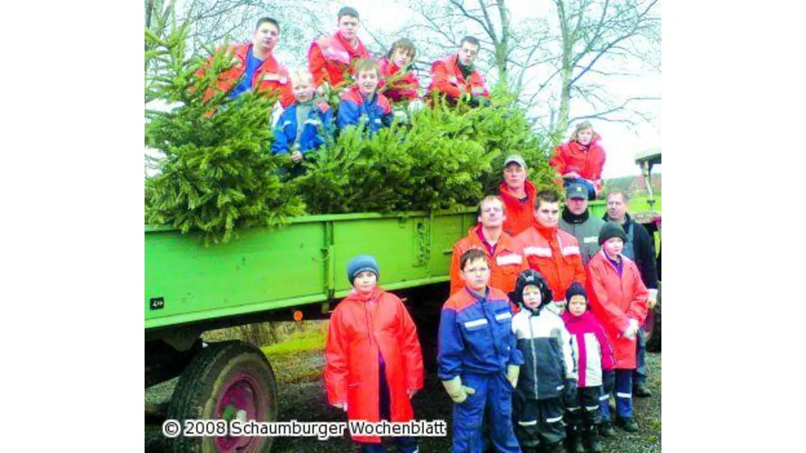 Weihnachtsbäume gesammelt (Foto: wtz)