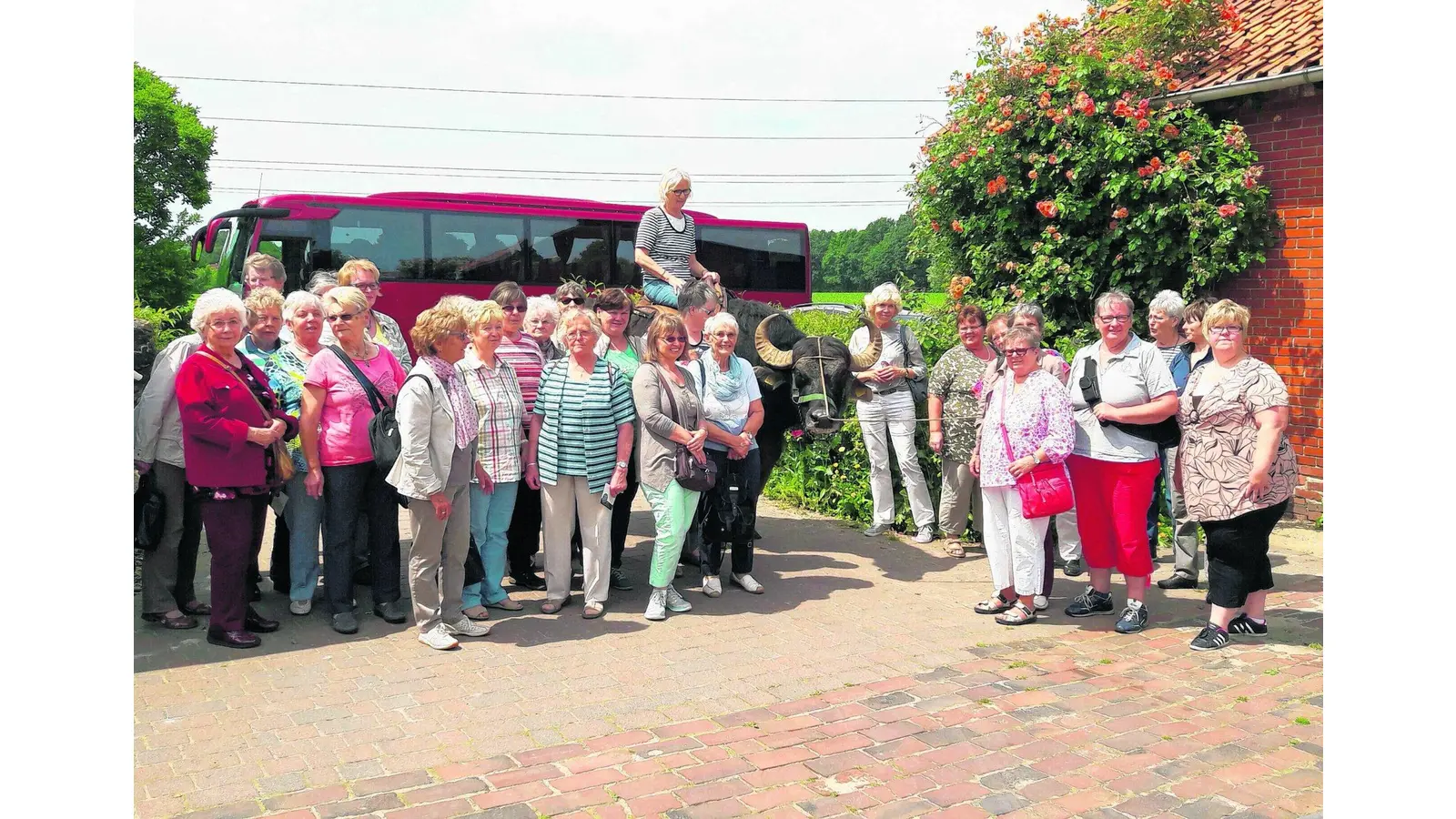 Die Landfrauen kommen diesmal auf den Büffel (Foto: mk)