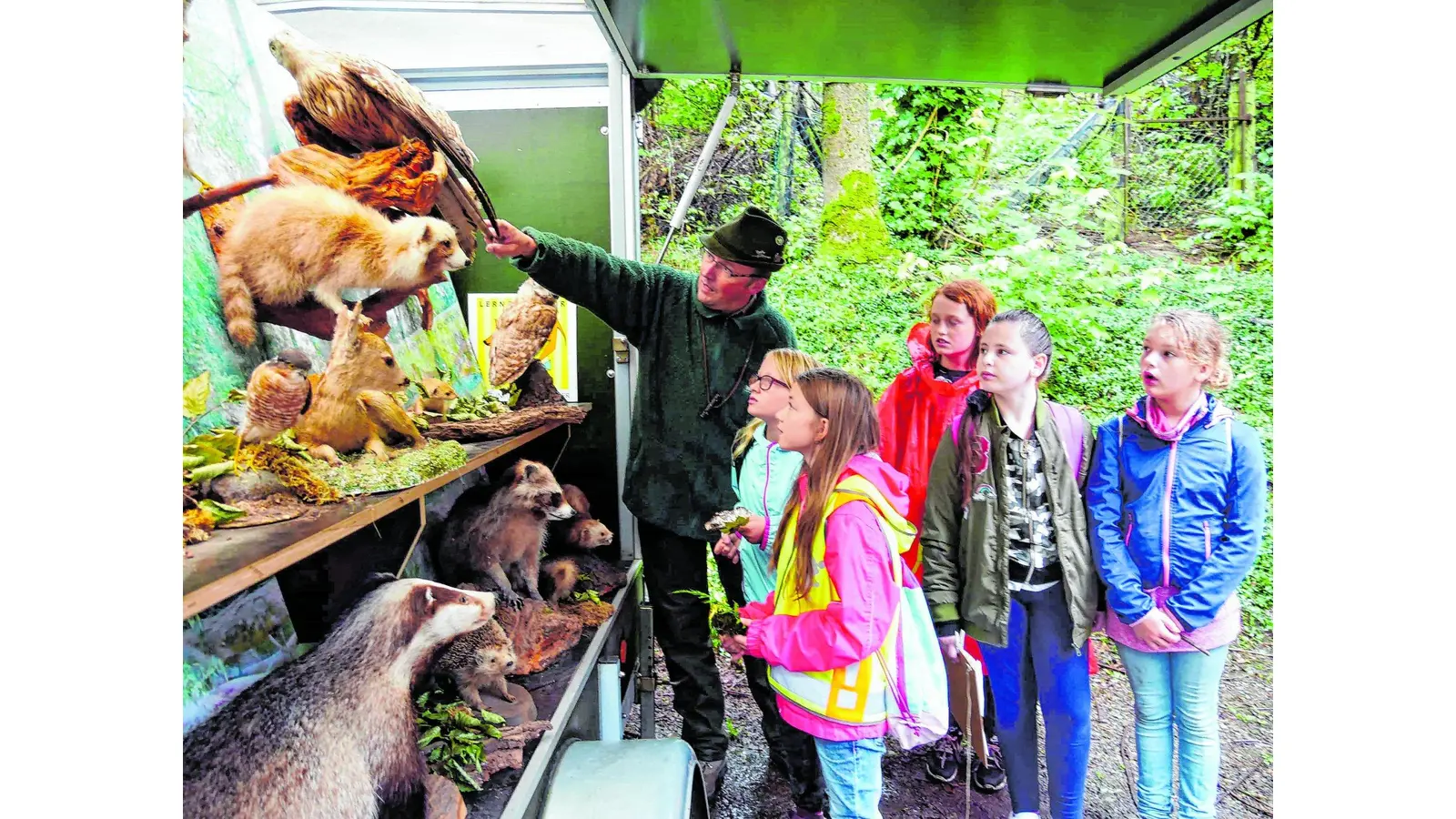 Grundschüler erkunden den nahen Wald (Foto: red)