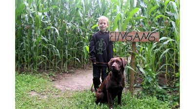 Moritz (7) freut sich ebenso wie Hund Lilli auf viele Besucher im Maislabyrinth.  (Foto: Borchers, Bastian)