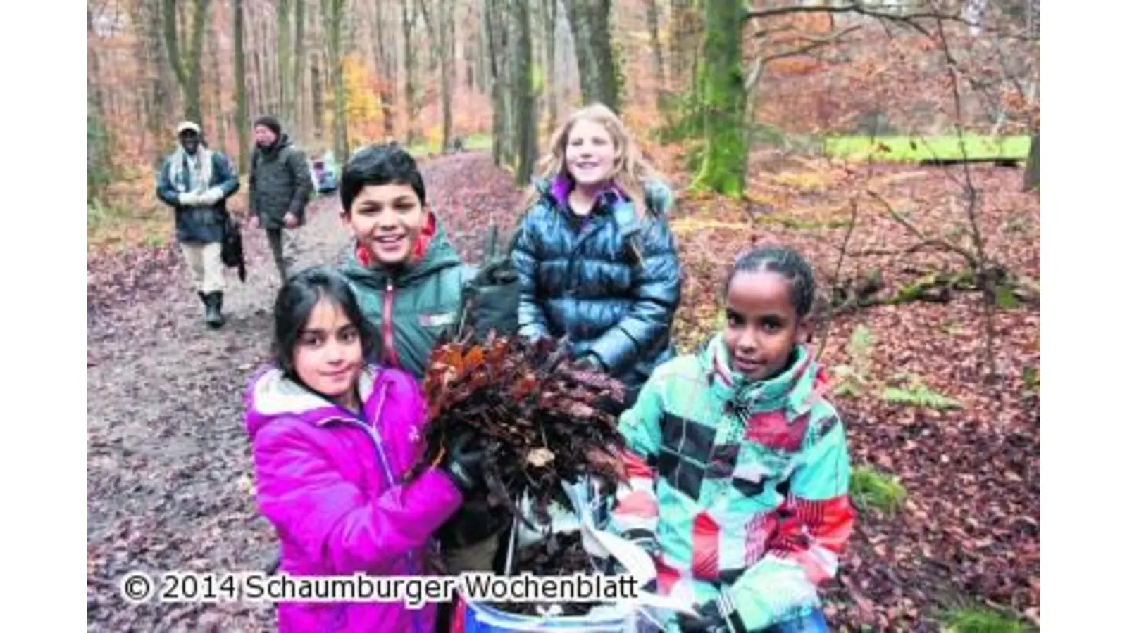 Mit Laubharken in den Kastanienwald (Foto: tr)