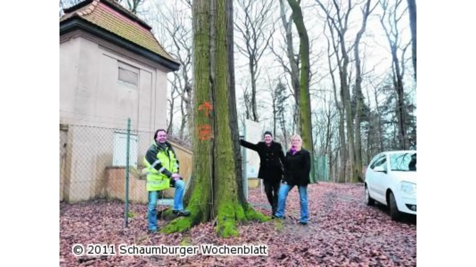 Sicherheit geht vor und acht Bäume müssen weg (Foto: pd)