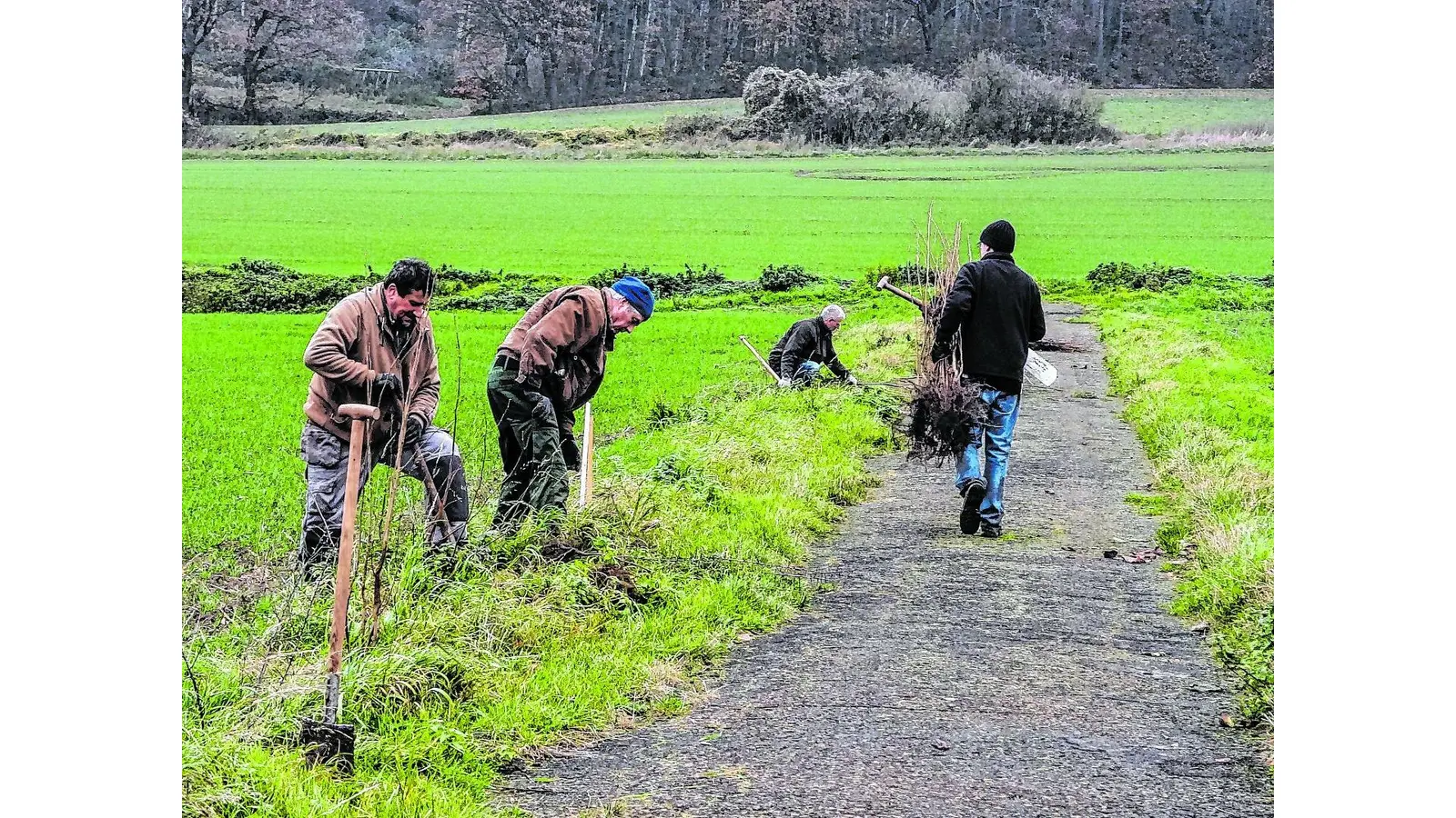 Heckenwege für die Stadt (Foto: red)