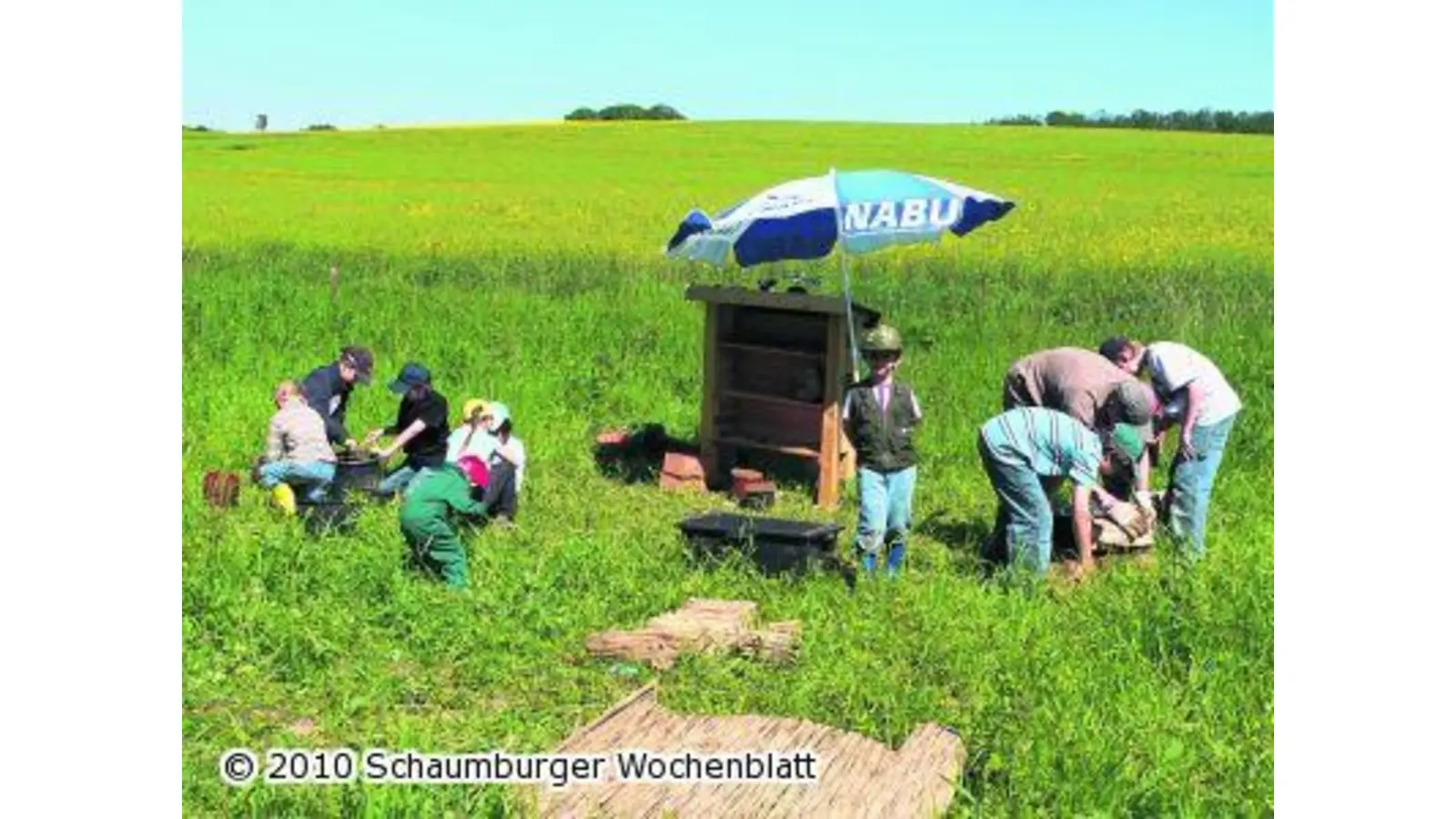 Dem Rehbock folgen Insekten (Foto: al)