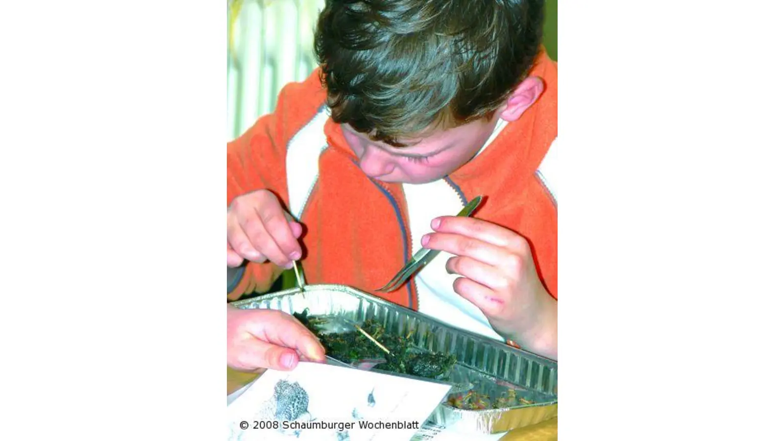 Ein Gewölle sagt viel über die Essgewohnheiten (Foto: red)