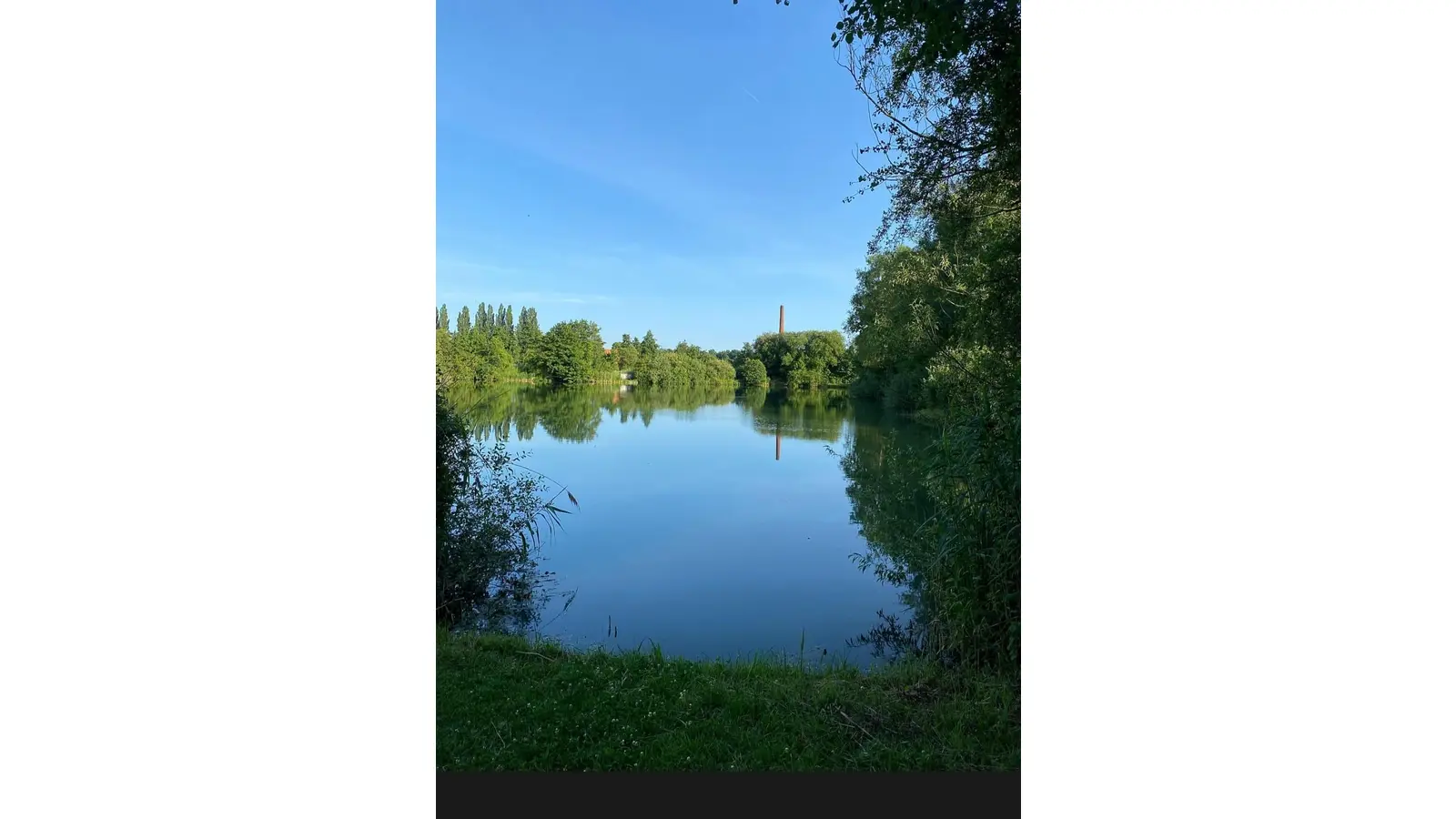 Der „Plötzensee” bei Messenkamp ist ein wertvoller Lebensraum für verschiedene Tiere. Angelsportverein und BUND gaben hier in einer Aktion Interessierten spannende Einblicke.  (Foto: privat)