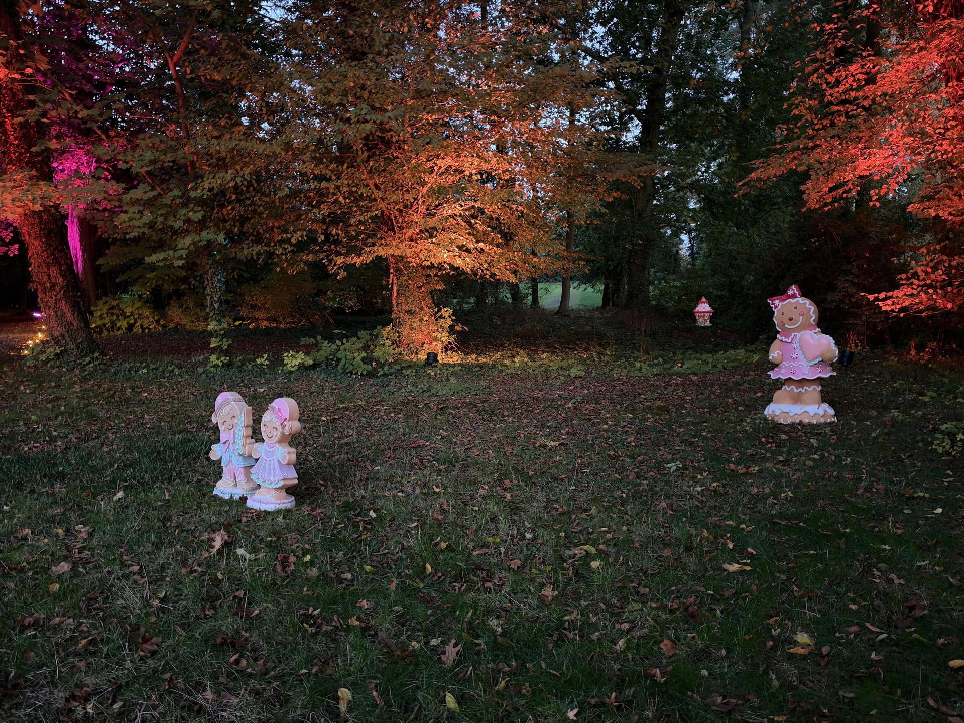 MärchenLichter (Foto: nd)