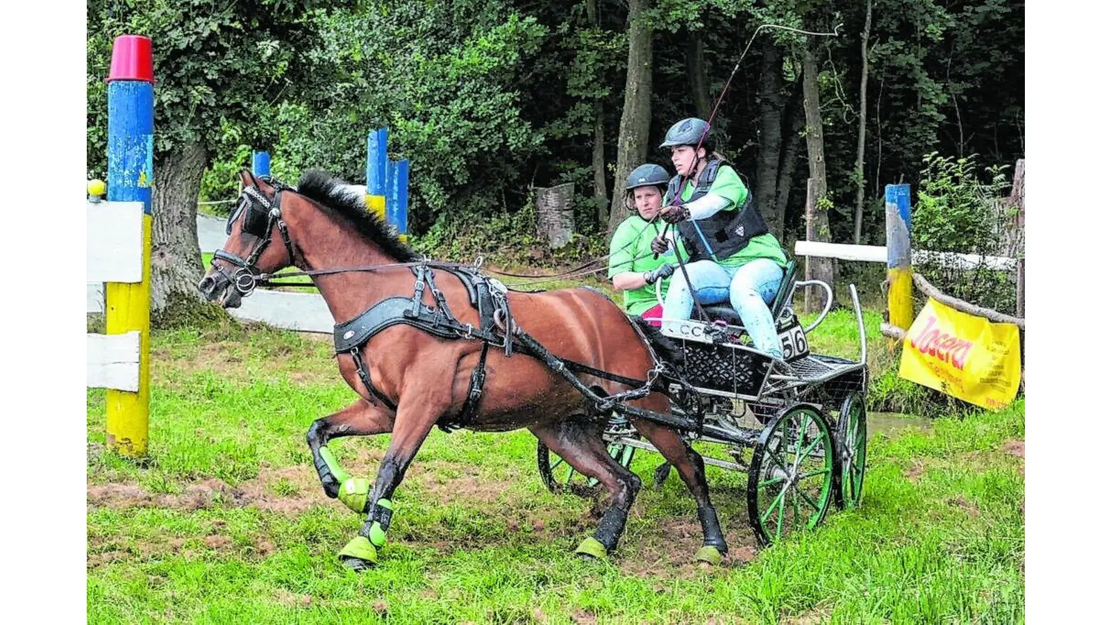 Vivien Otto geht mit Elvis ins Rennen (Foto: bt)