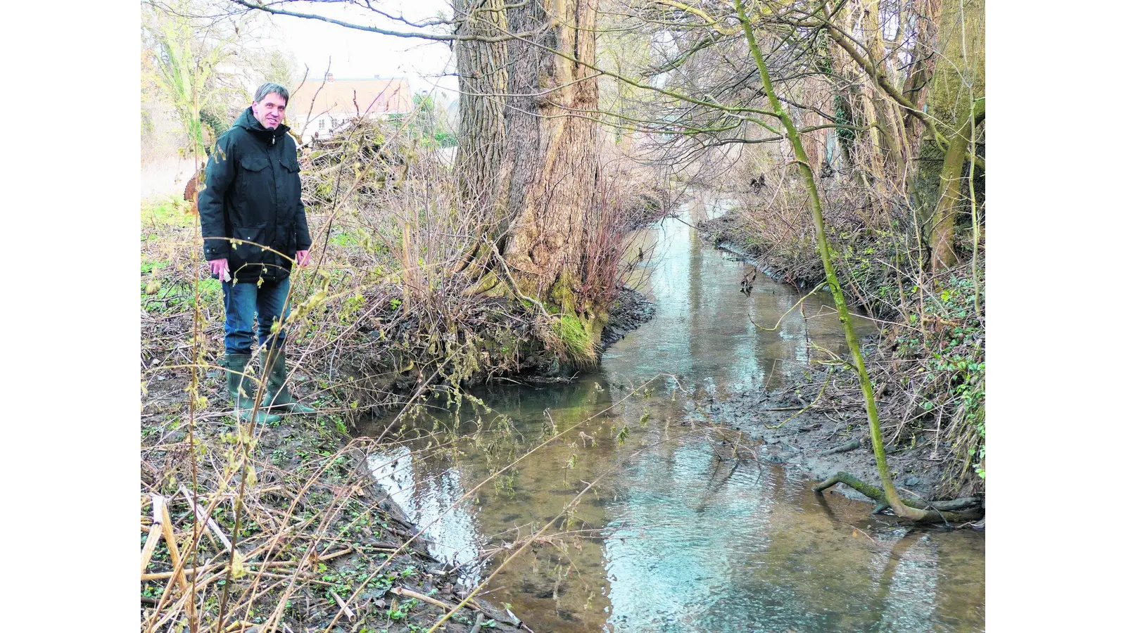 Erlen und Eschen für die Mühlenaue geplant (Foto: al)