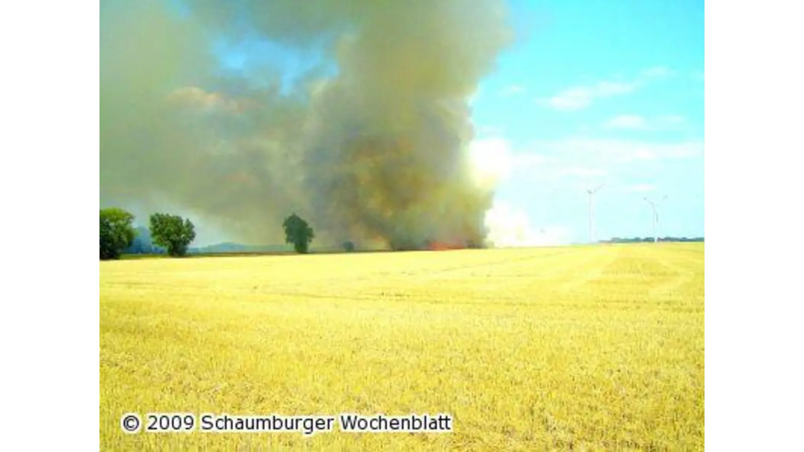 Stoppelfeld brennt ab (Foto: ih)