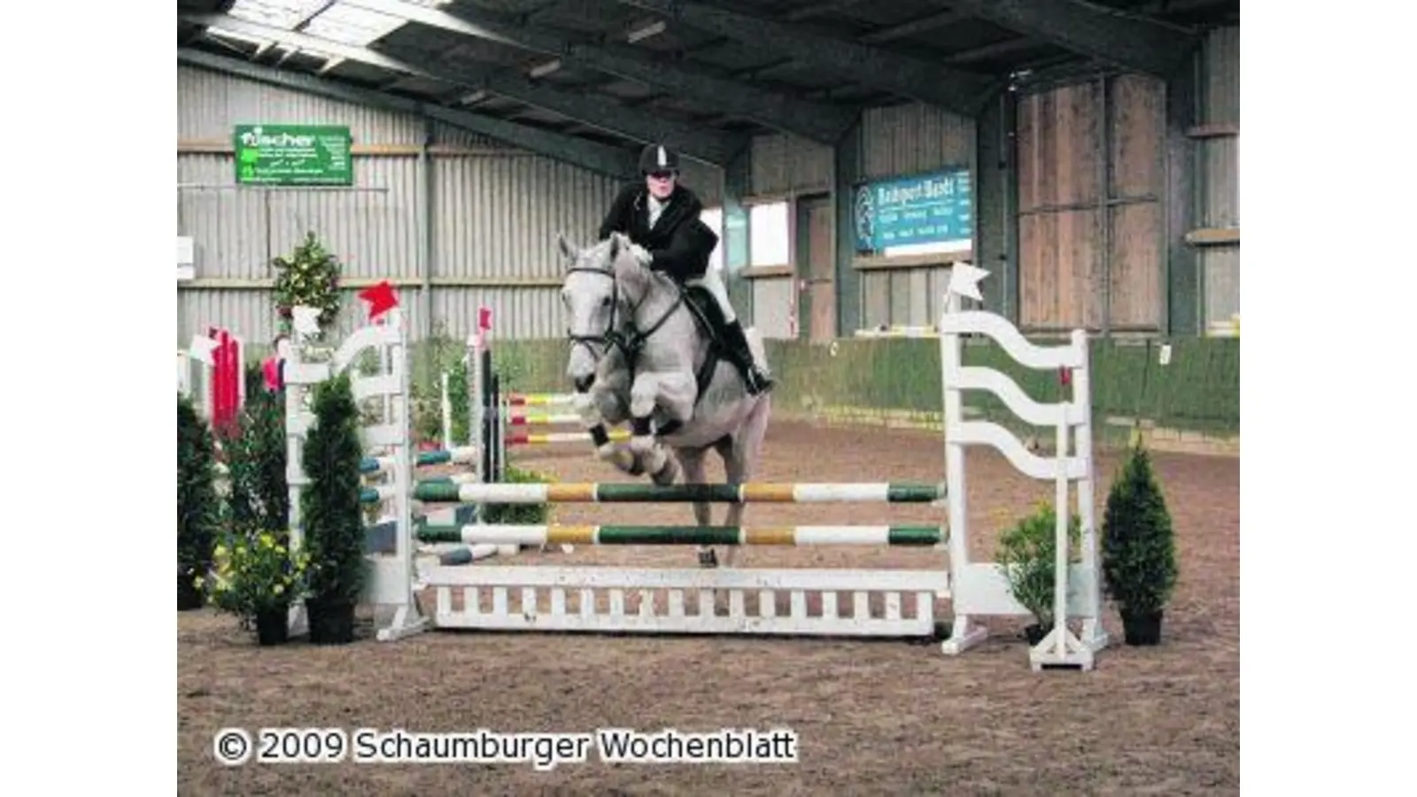 Gutes Reitturnier auf Eichhöfe ein Leckerbissen für Pferdesportfreunde (Foto: red)