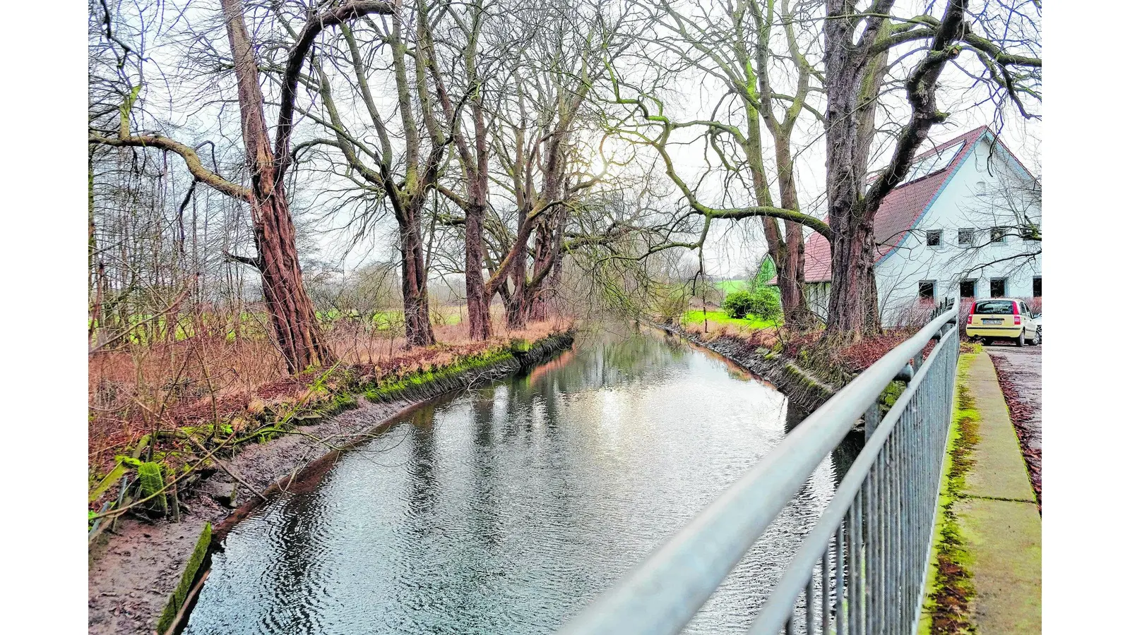 Neuer Wasserlauf verbessert ökologische Durchgängigkeit der Rodenberger Aue (Foto: jl)