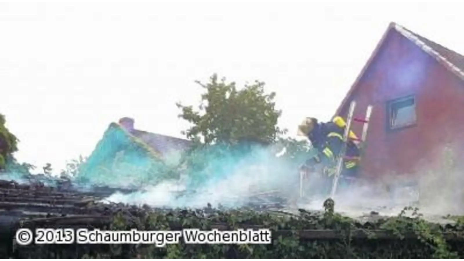 Kaninchen überleben Feuer (Foto: em)