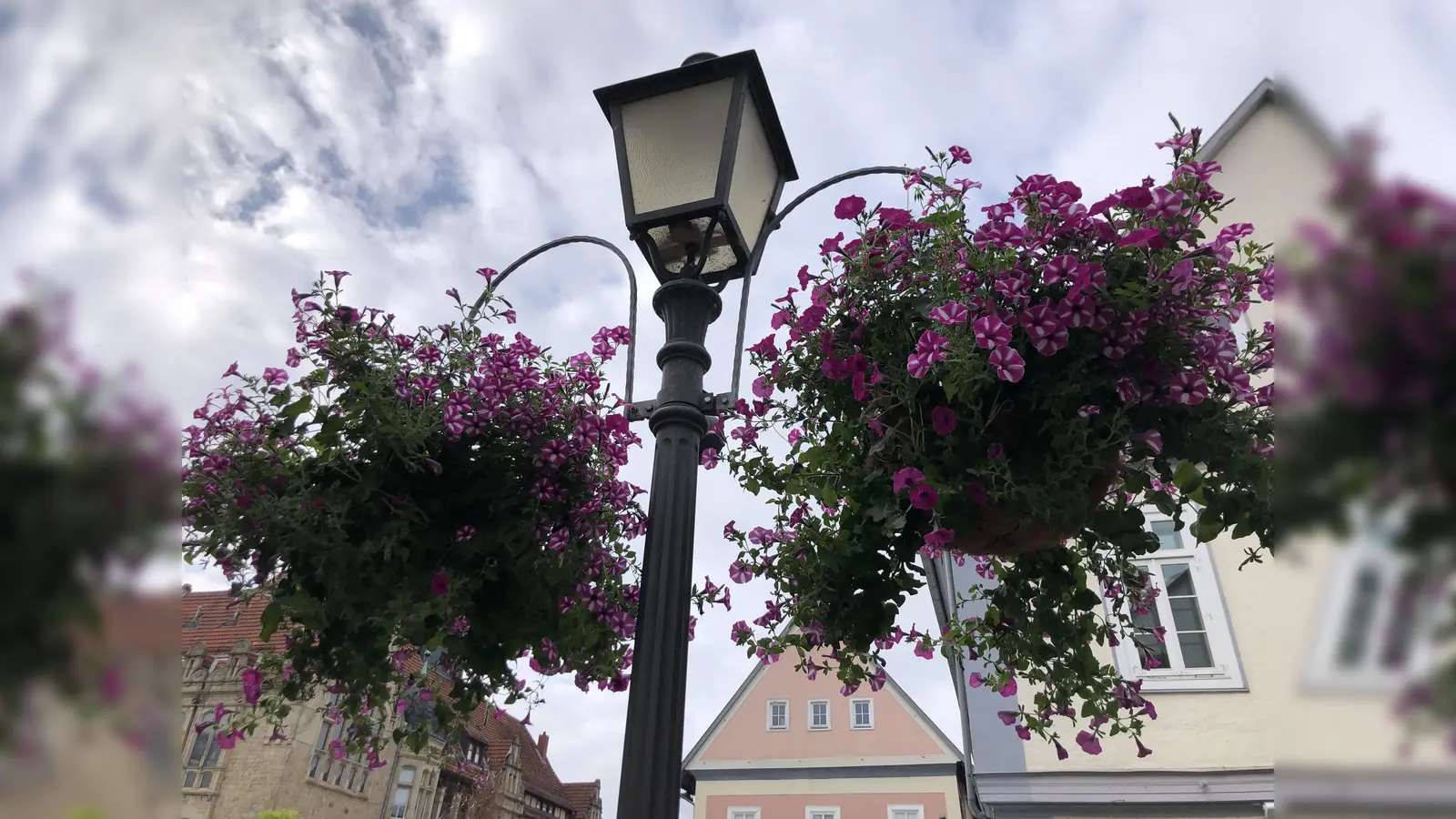 Farbenfrohe Blumenpracht für die Bückeburger Innenstadt: Wie in jeden Jahr seit 1999 verzieren wieder 100 „Hanging Baskets“ die Lange Straße, Schulstraße und den Marktplatz. (Foto: nh)
