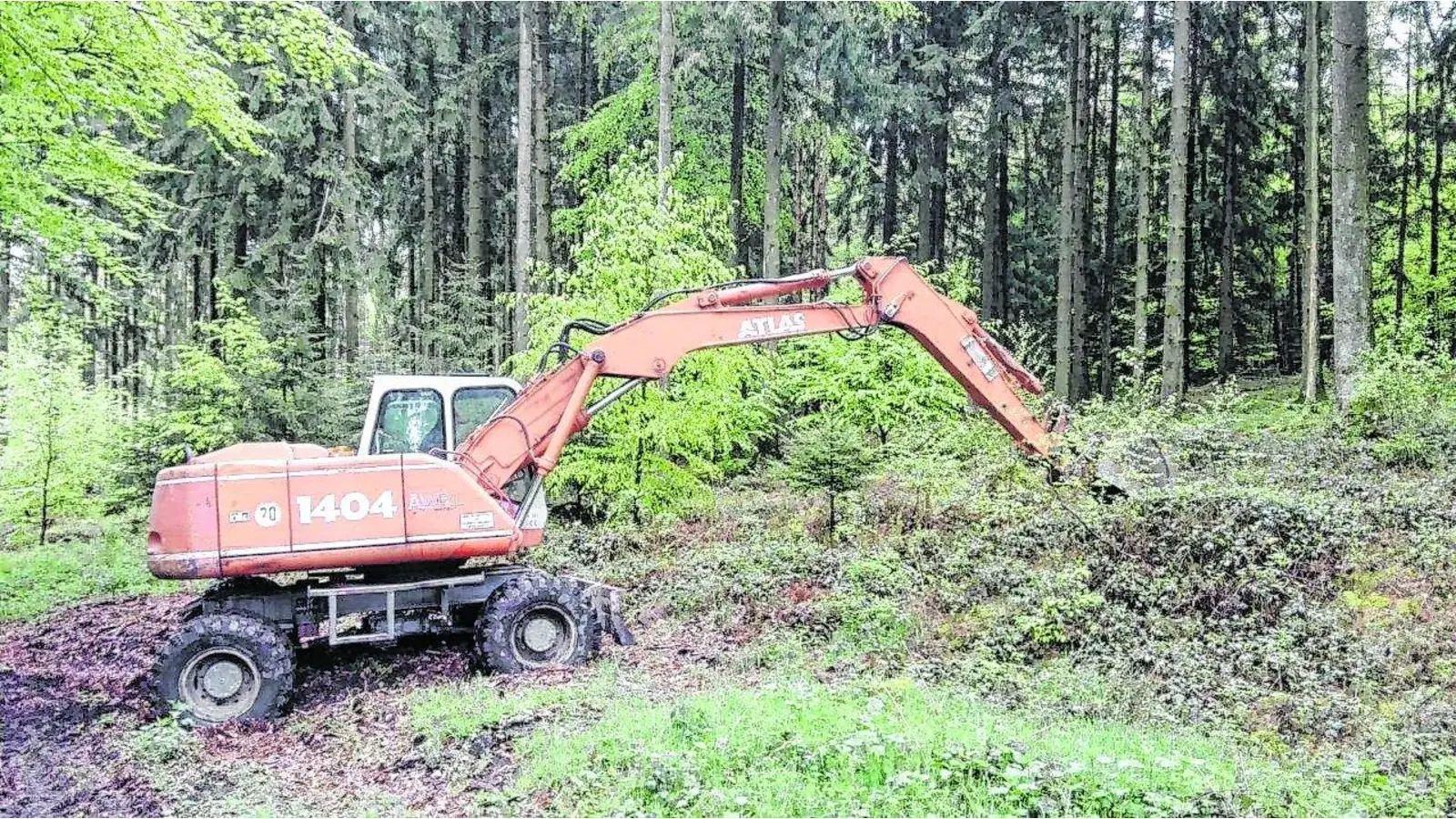Landkreis setzt Kartierung fort (Foto: cs)
