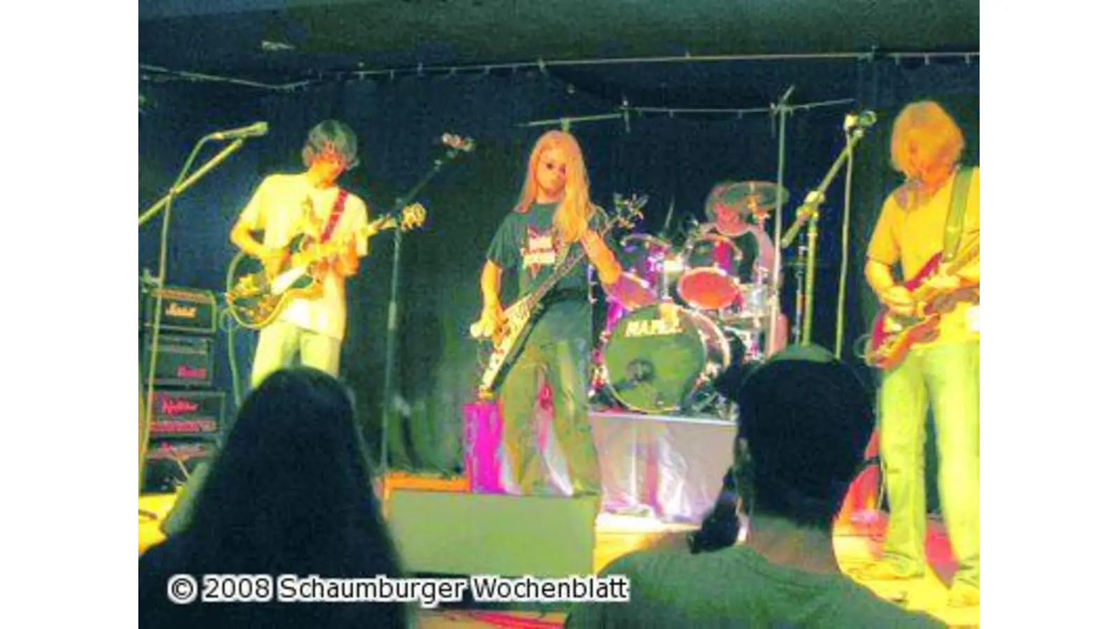 Saiten stimmen und Stimme ölen (Foto: red)
