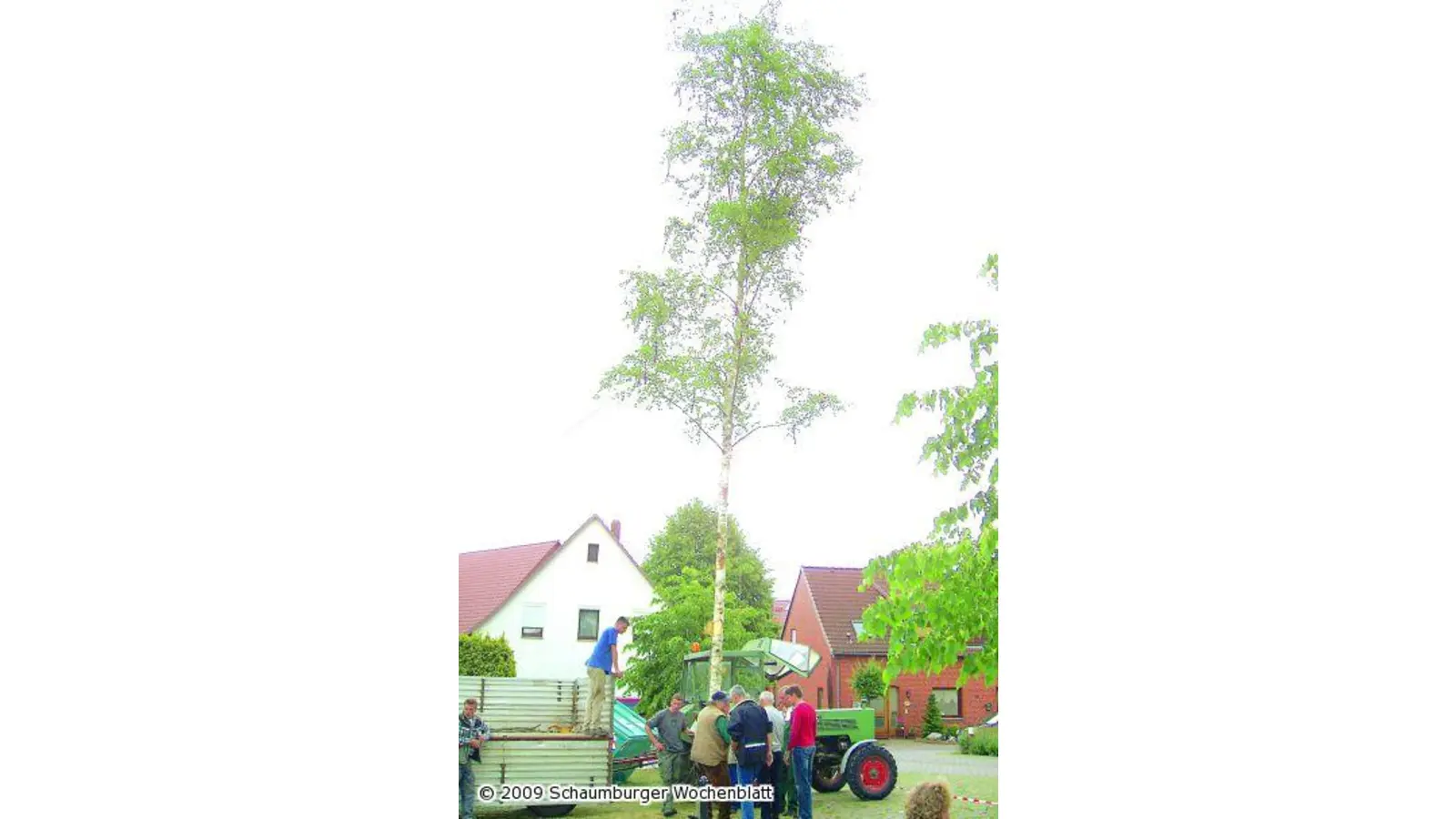 Pfingstbaum zu Fall gebracht (Foto: ih)