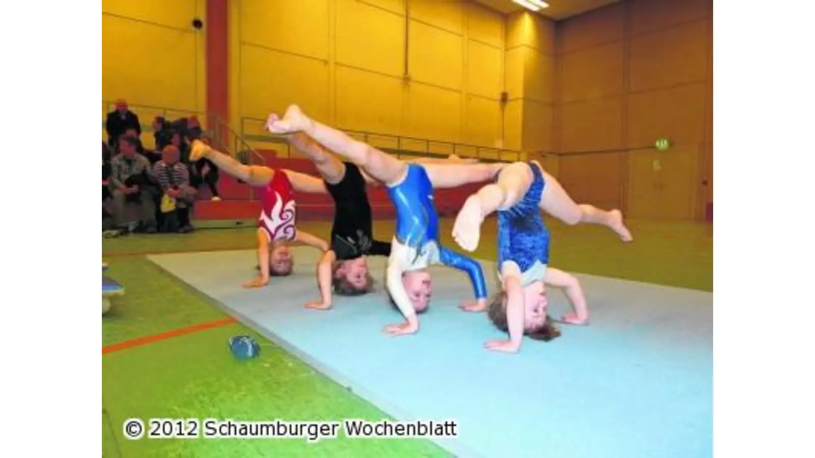 VTR-Turnerinnen beweisen Geschick (Foto: ro)