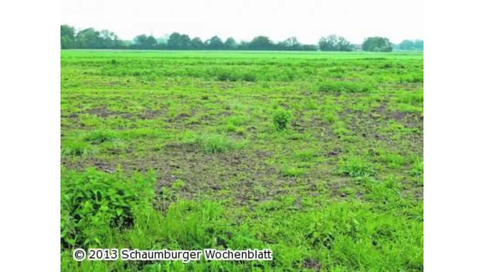 Projektgesellschaft weist die Kritik zurück (Foto: em)