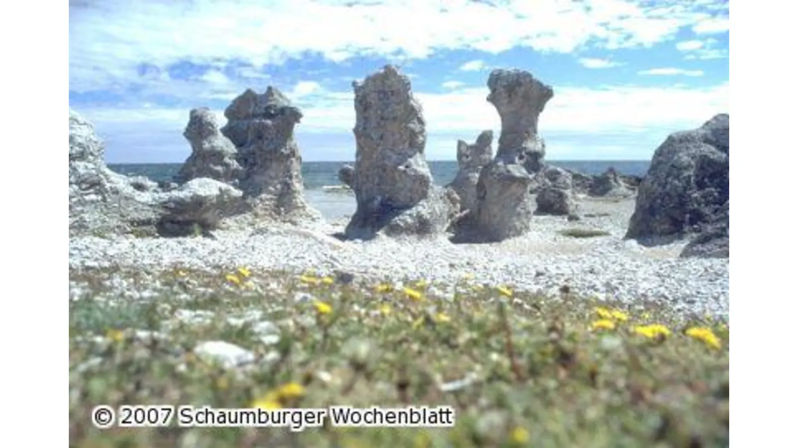 Vortrag über schwedisches Gotland (Foto: km)