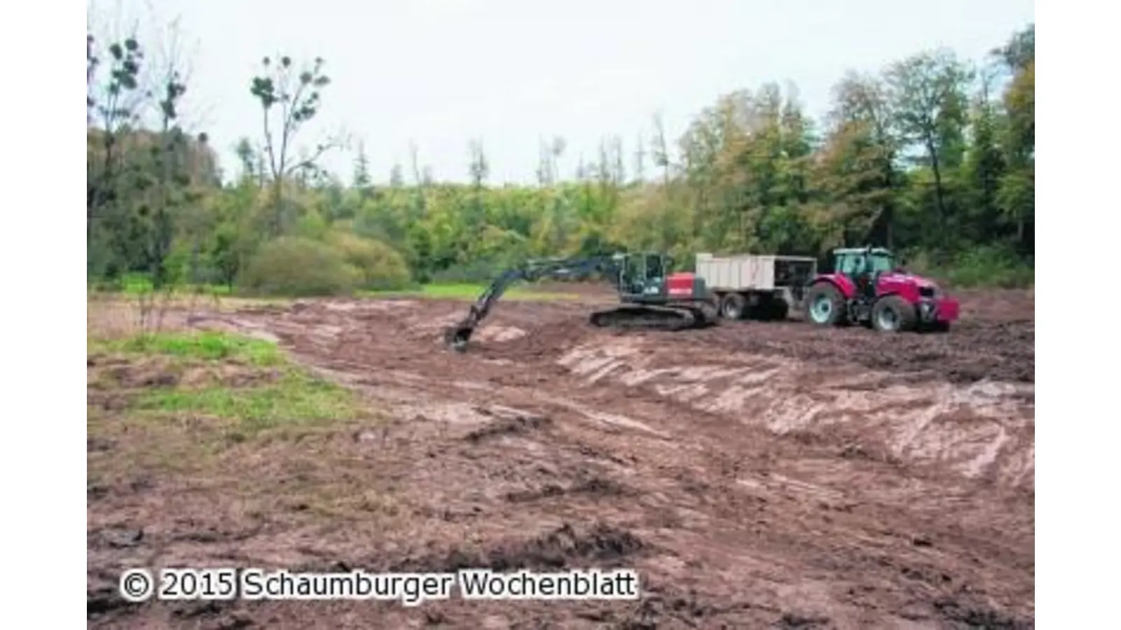 Lebensraum für den Schwarzstorch (Foto: mk)
