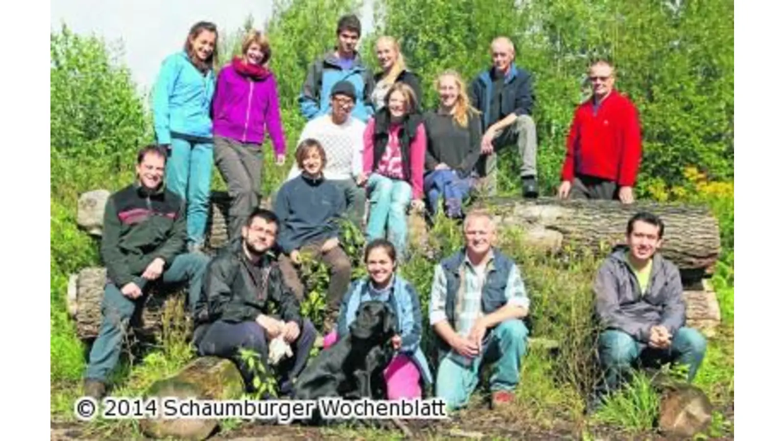 Vielfalt im Rintelner Wald (Foto: em)