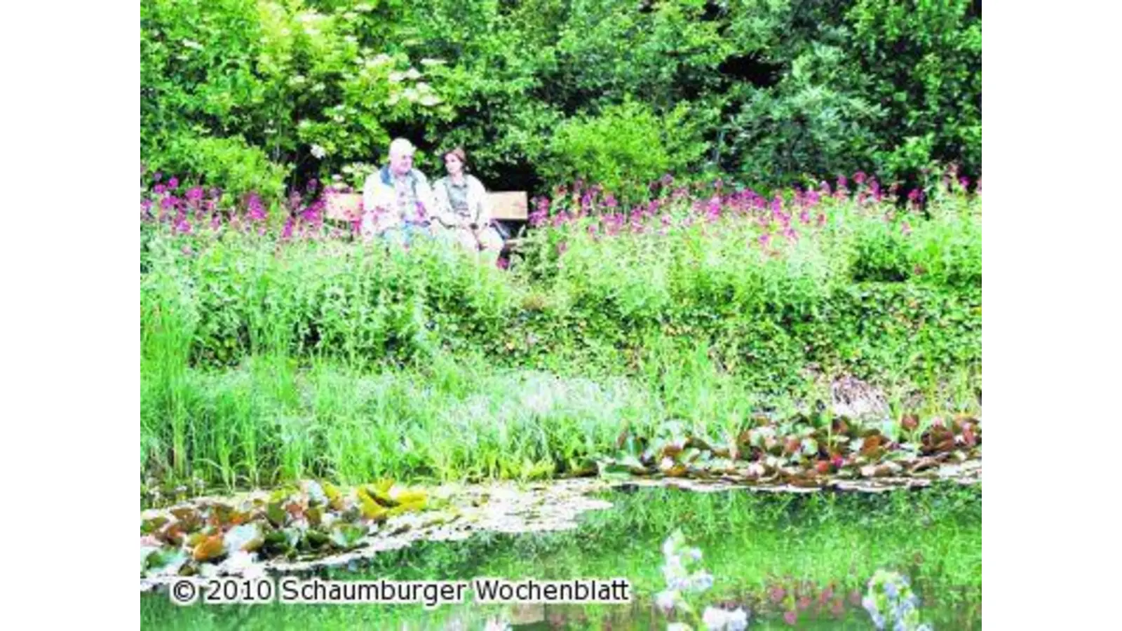 Vögel und Insekten finden gedeckten Tisch (Foto: tt)