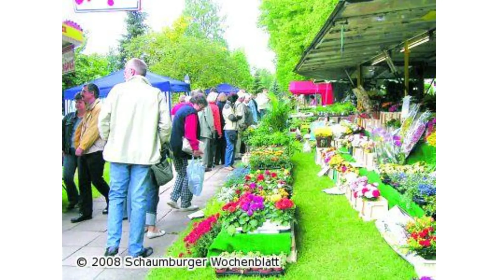 Morgen Bauernmarkt im Kurort (Foto: red)