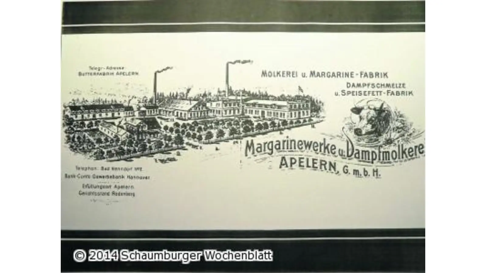 Neue Satzung und viele neue Ideen (Foto: red)