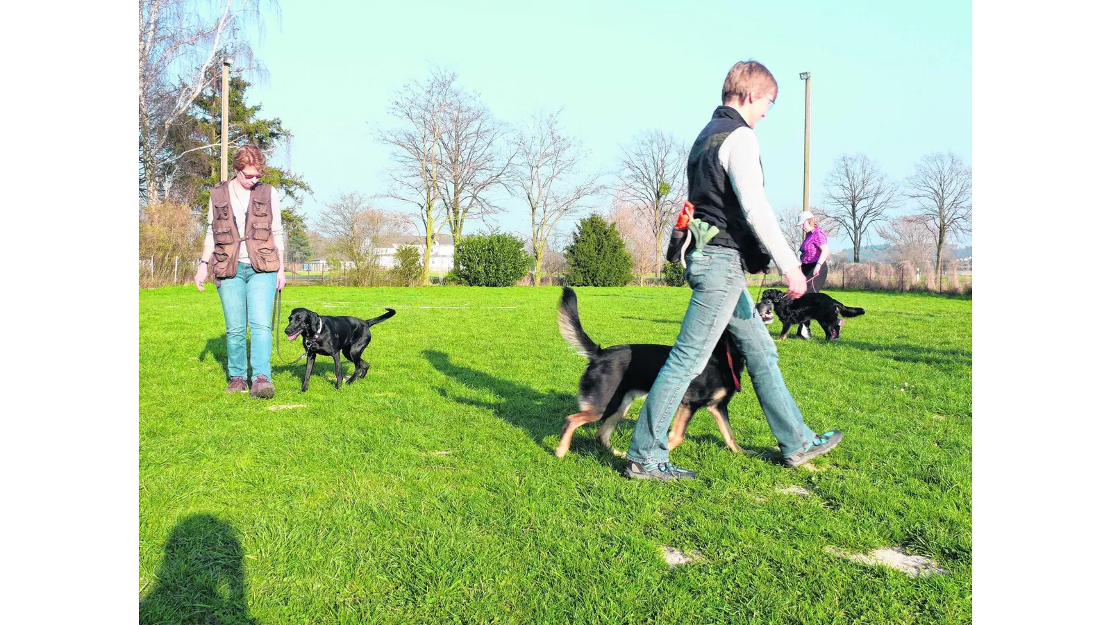 Neue Trainingsmöglichkeit für junge Hunde (Foto: mk)