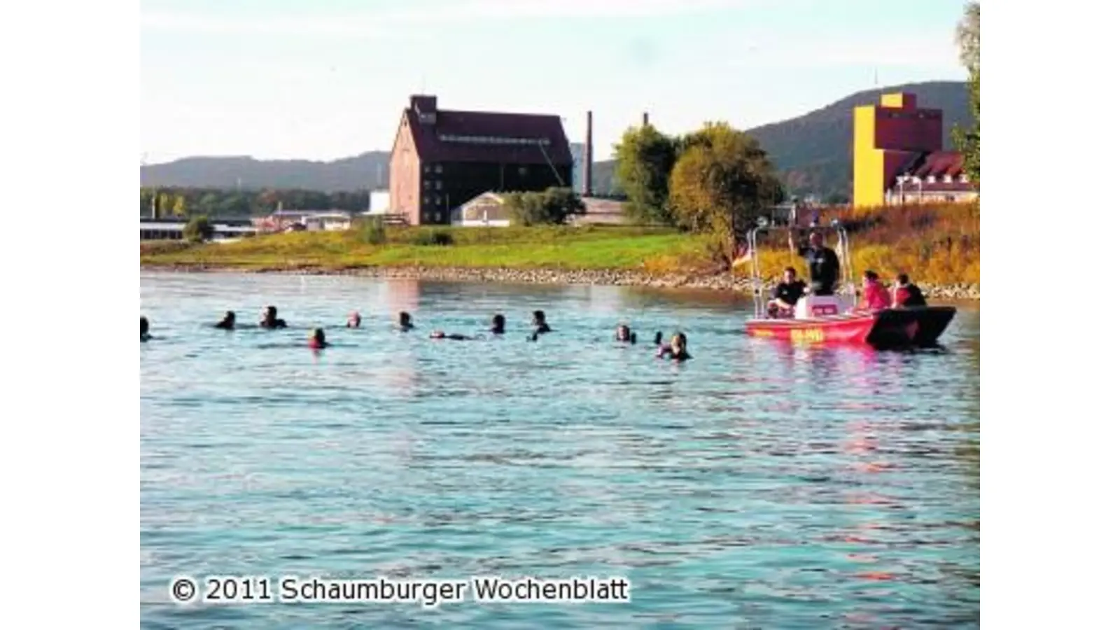 Die Welse fressen keine kleinen Lebensretter (Foto: ste)