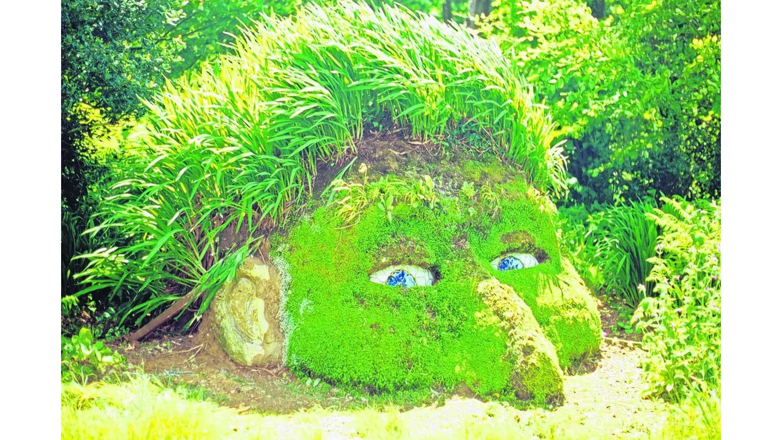Der sonnige Süden Englands (Foto: mk)
