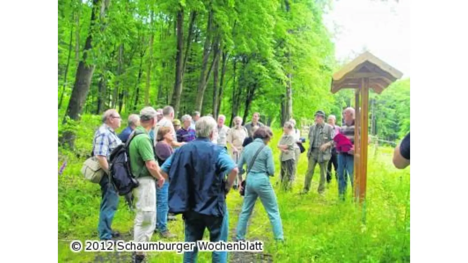 Über Harvester und Wildkatzen (Foto: al)