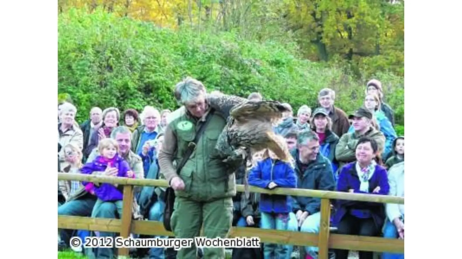 Die Wölfe gehören zu den großen Stars (Foto: ro)