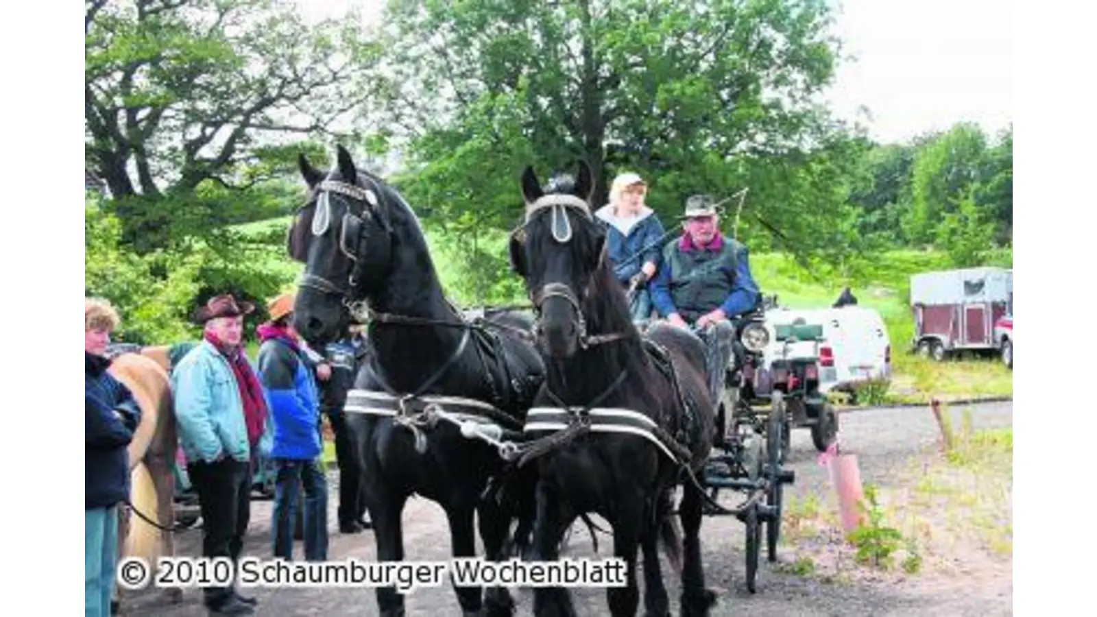 Auf dem Bock durch Wald und Flur (Foto: em)