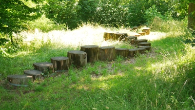 Der Bürgerwald mit seinen gestalteten Bereichen ist Veranstaltungsort. (Foto: gk)