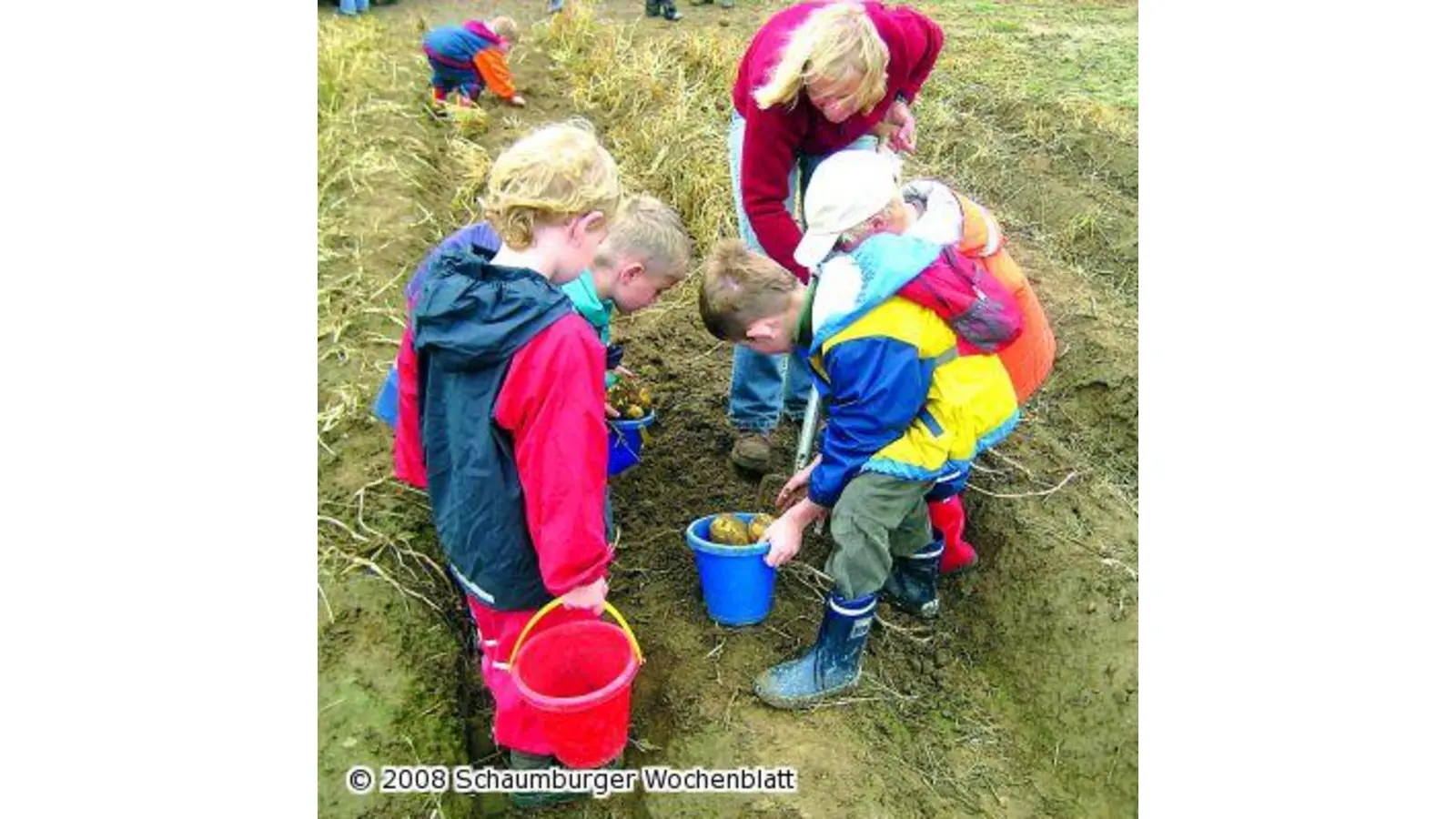 Leckereien aus der tollen Knolle (Foto: red)