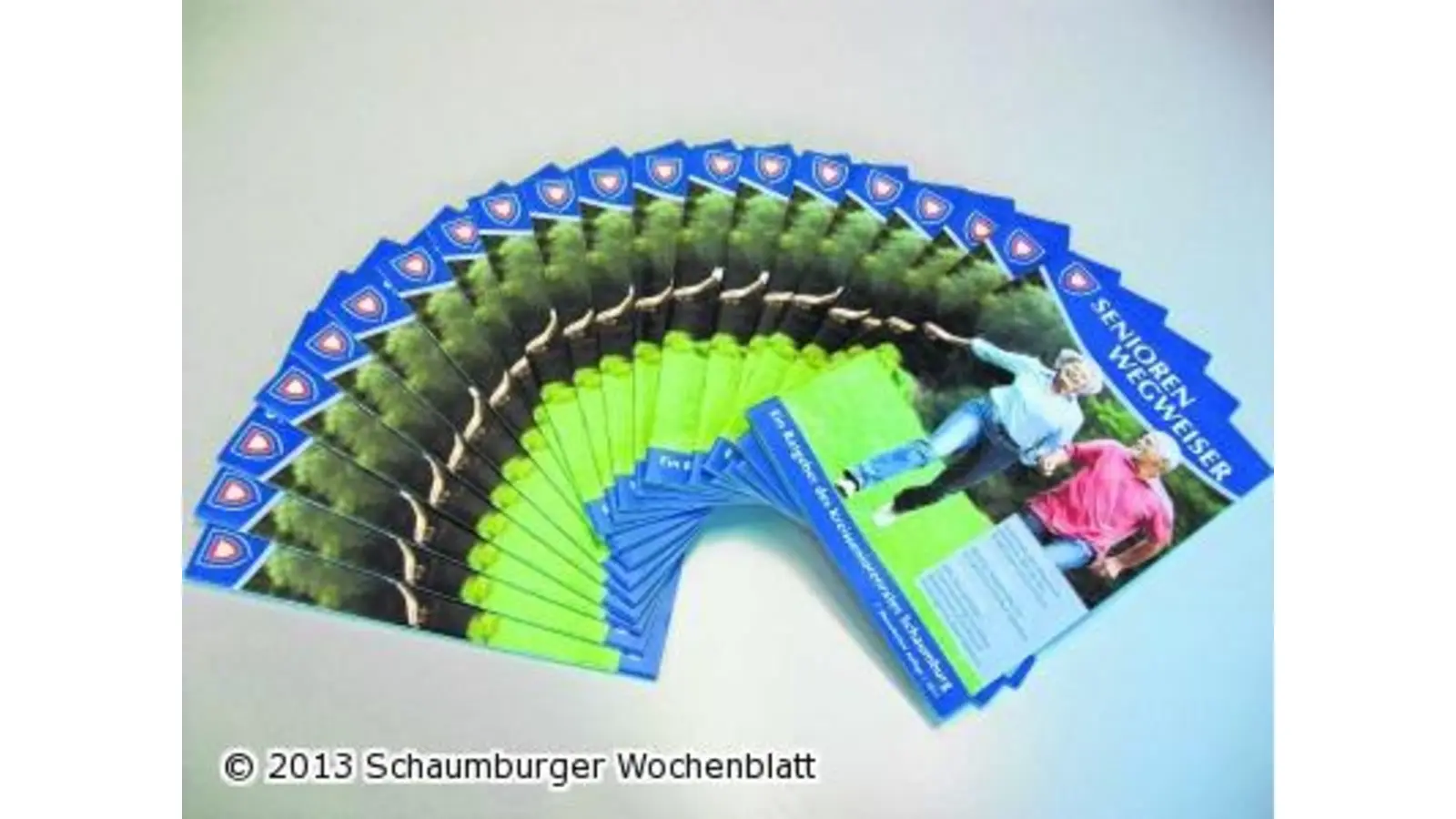 Von Pflege bis sinnvoll gestalteter Freizeit (Foto: red)