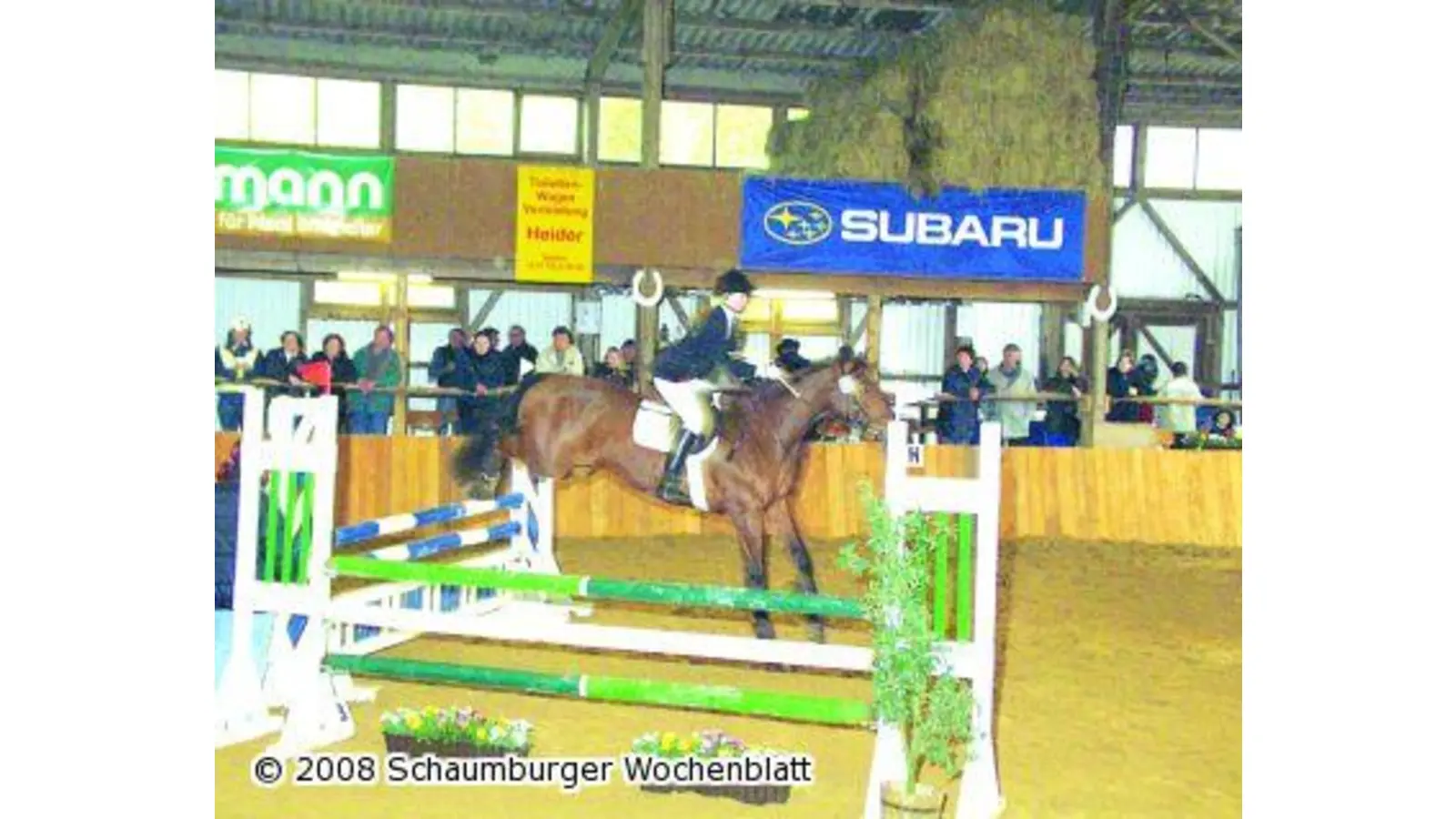 Frühlings-Turnier in der Reithalle (Foto: ste)