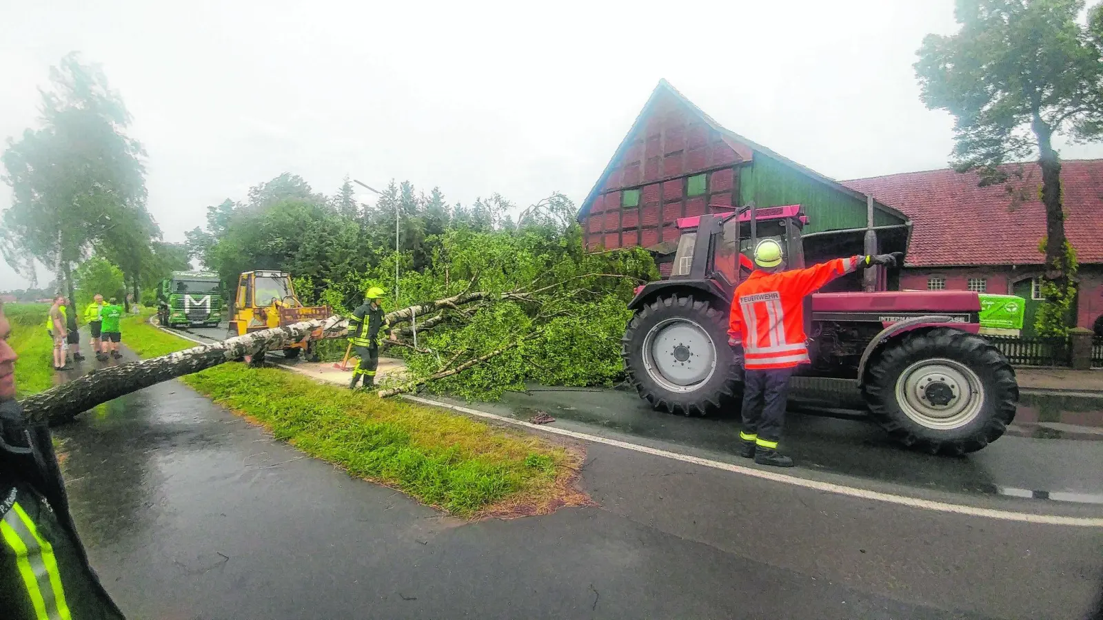 Umgestürzter Baum versperrt die Straße (Foto: jb)