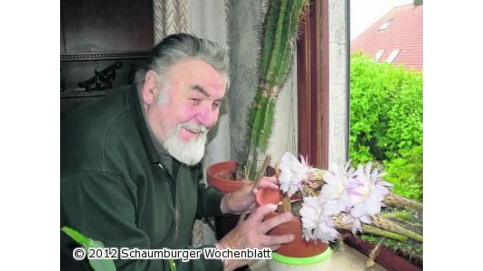 Erste Blüten nach über 20 Jahren (Foto: al)
