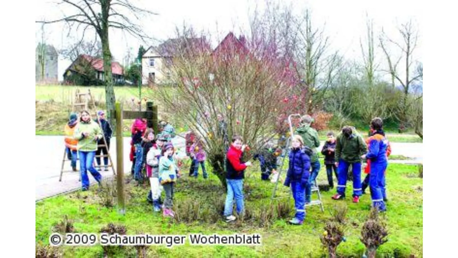 Den blühenden Frühling locken (Foto: tt)