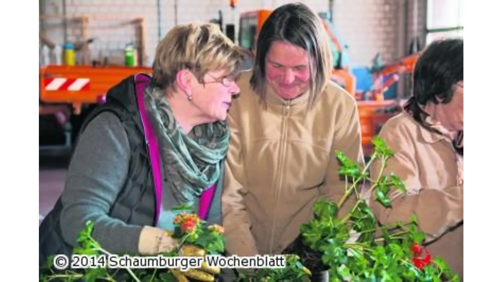 Jetzt hängen sie endlich wieder (Foto: wa)