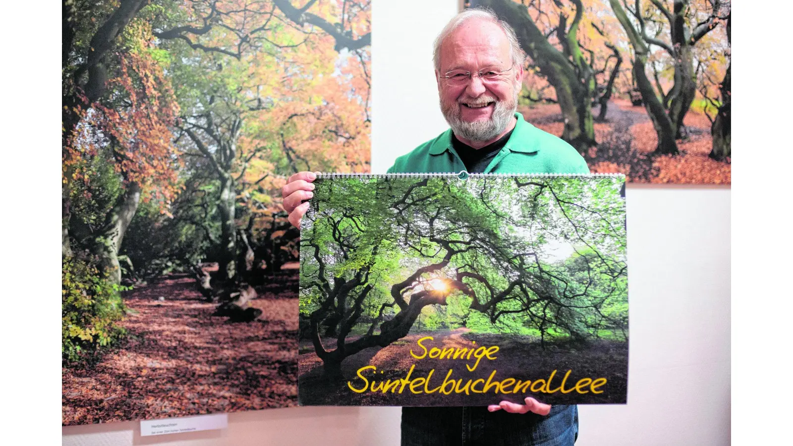 Süntelbuchen facettenreich erleben (Foto: jl)