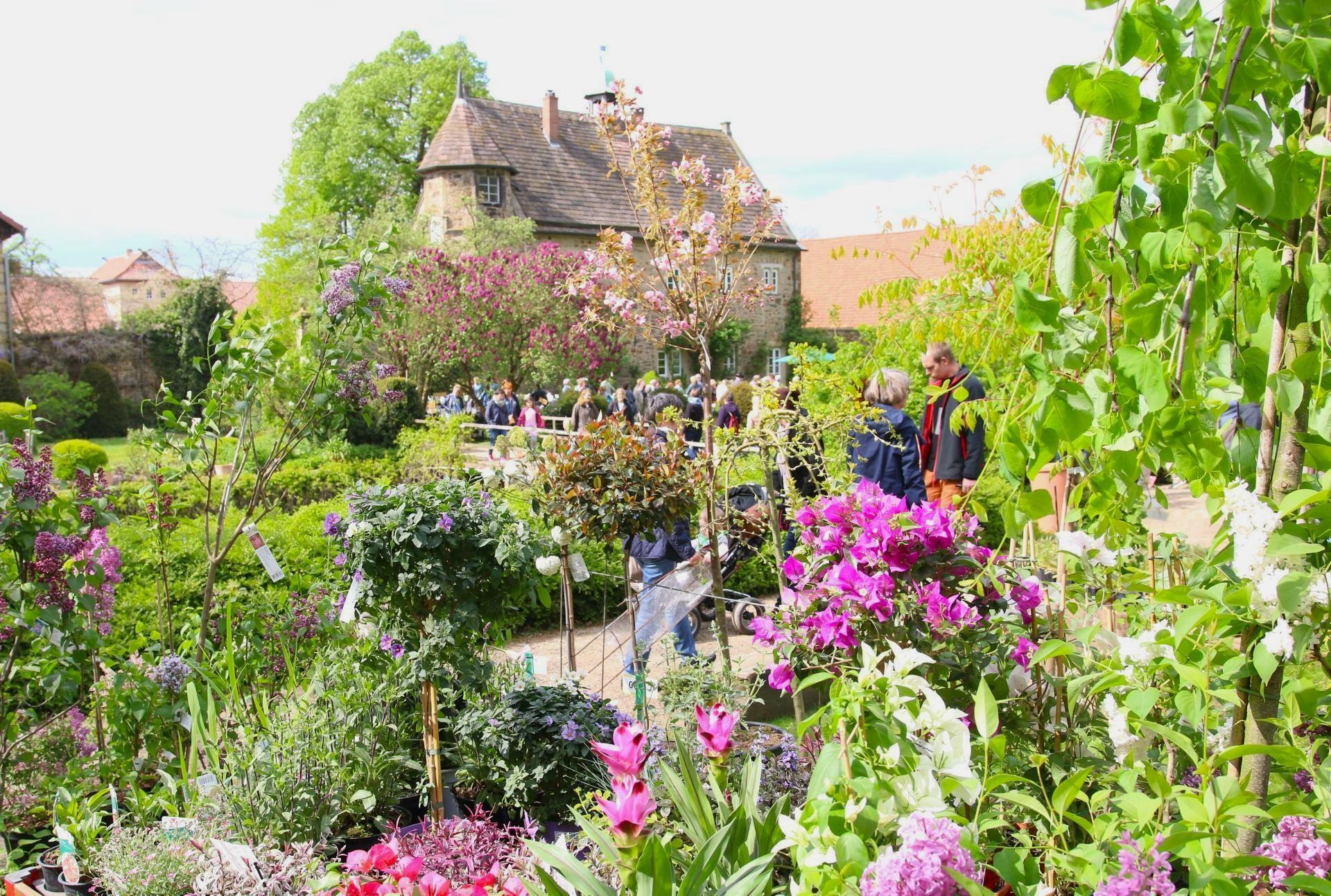 Die Pflanzentrag auf dem Rittergut Remeringhausen laden ein zum Bummel entlang prachtvoller Gewächse.  (Foto: bb)