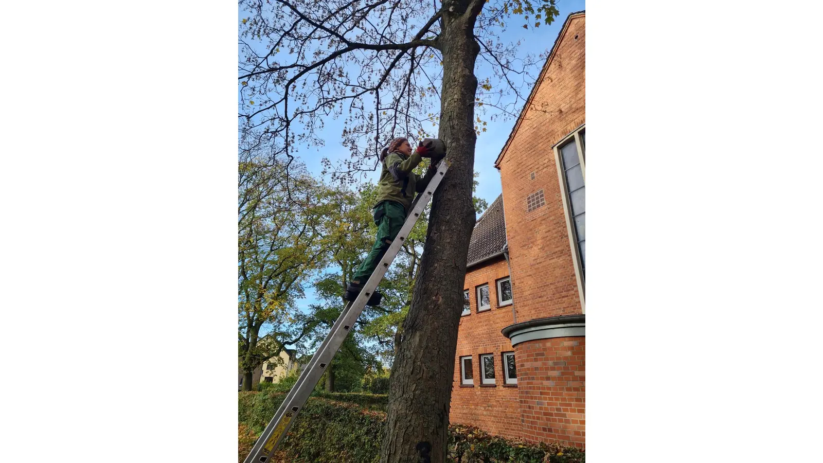 Der „NABU” startet am Sonnabend die Nistkastenpflege in Stadthagen.  (Foto: bb)
